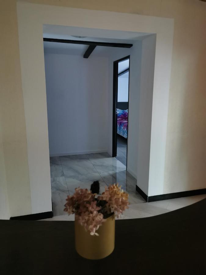 Vila Bijou Borşa Esterno foto